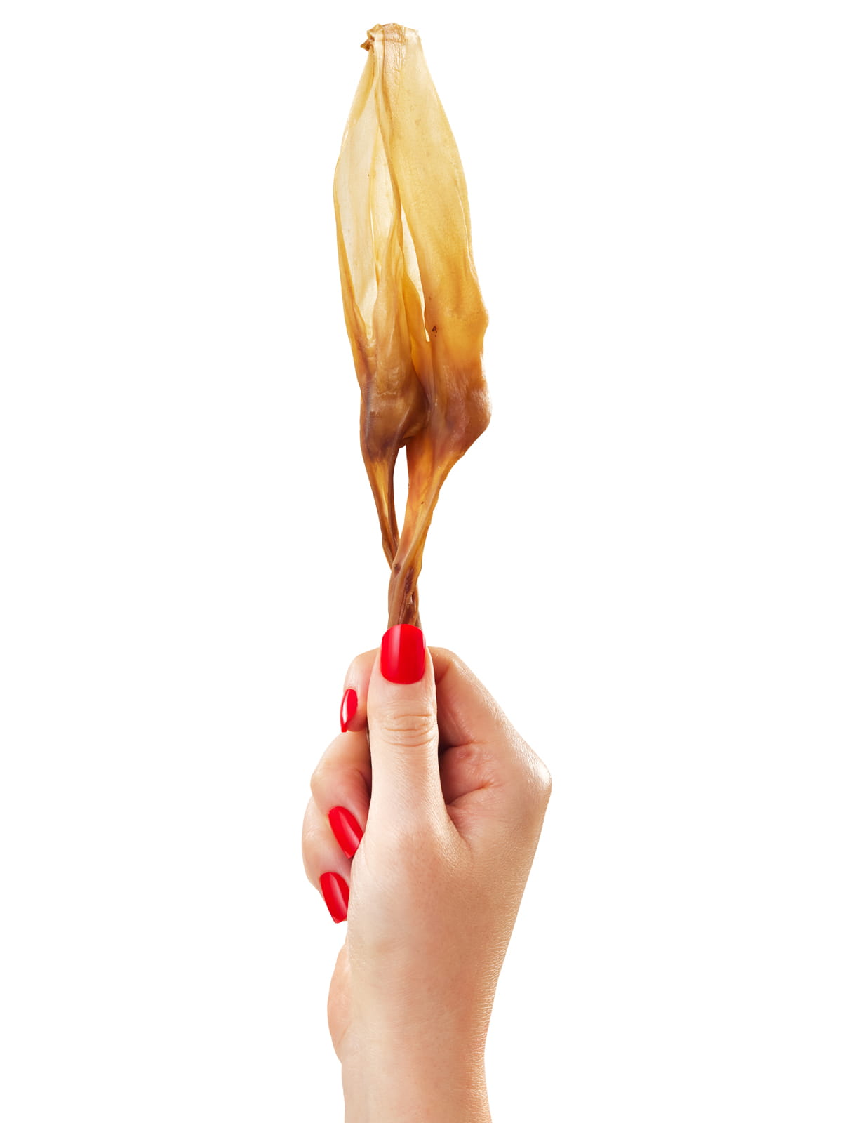 Hand with red nails holding a single Floppy Ear Dried Rabbit Ear Chew showing natural texture and size