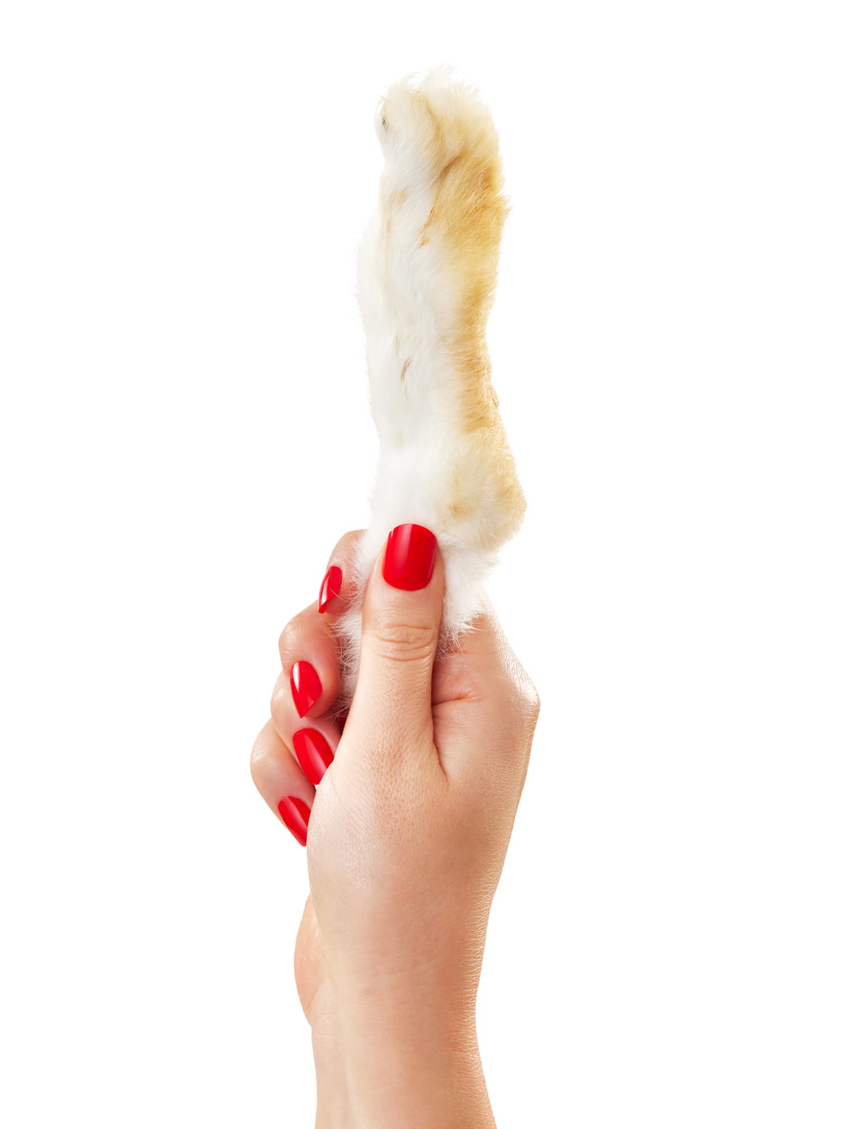 Hand with red nails holding single Floppy Ear natural rabbit foot with fur chew showing fluffy fur and texture