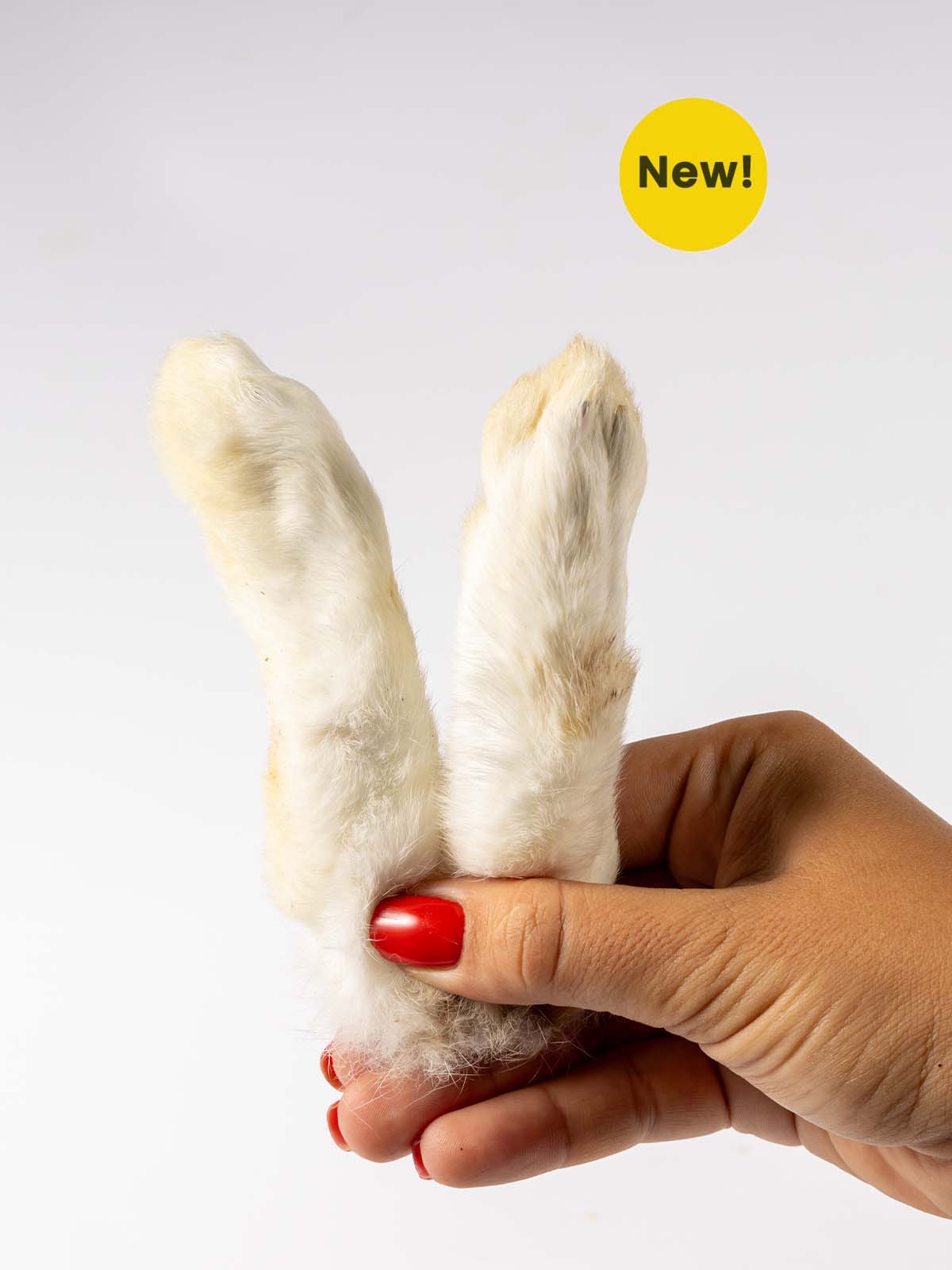 Rabbit Feet with Fur Box