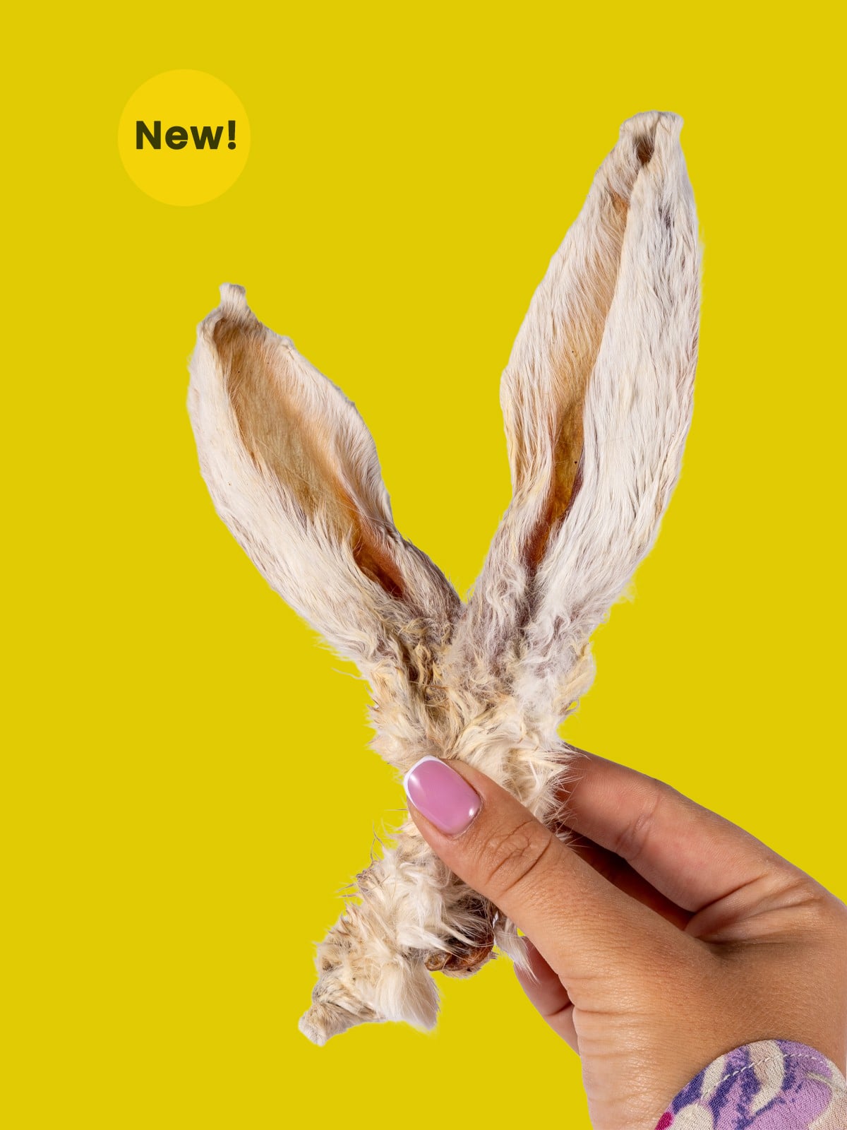 Rabbit Ears with Fur Chew Box - Floppy Ear