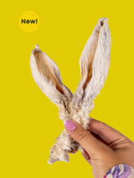 Rabbit Ears with Fur Chew Box - Floppy Ear
