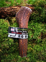 Floppy Ear Scottish Highlands 100% Natural Red Deer Antler Chew Extra Large size on moss