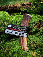 Floppy Ear Scottish Highlands 100% Natural Red Deer Antler Chew Medium size on moss