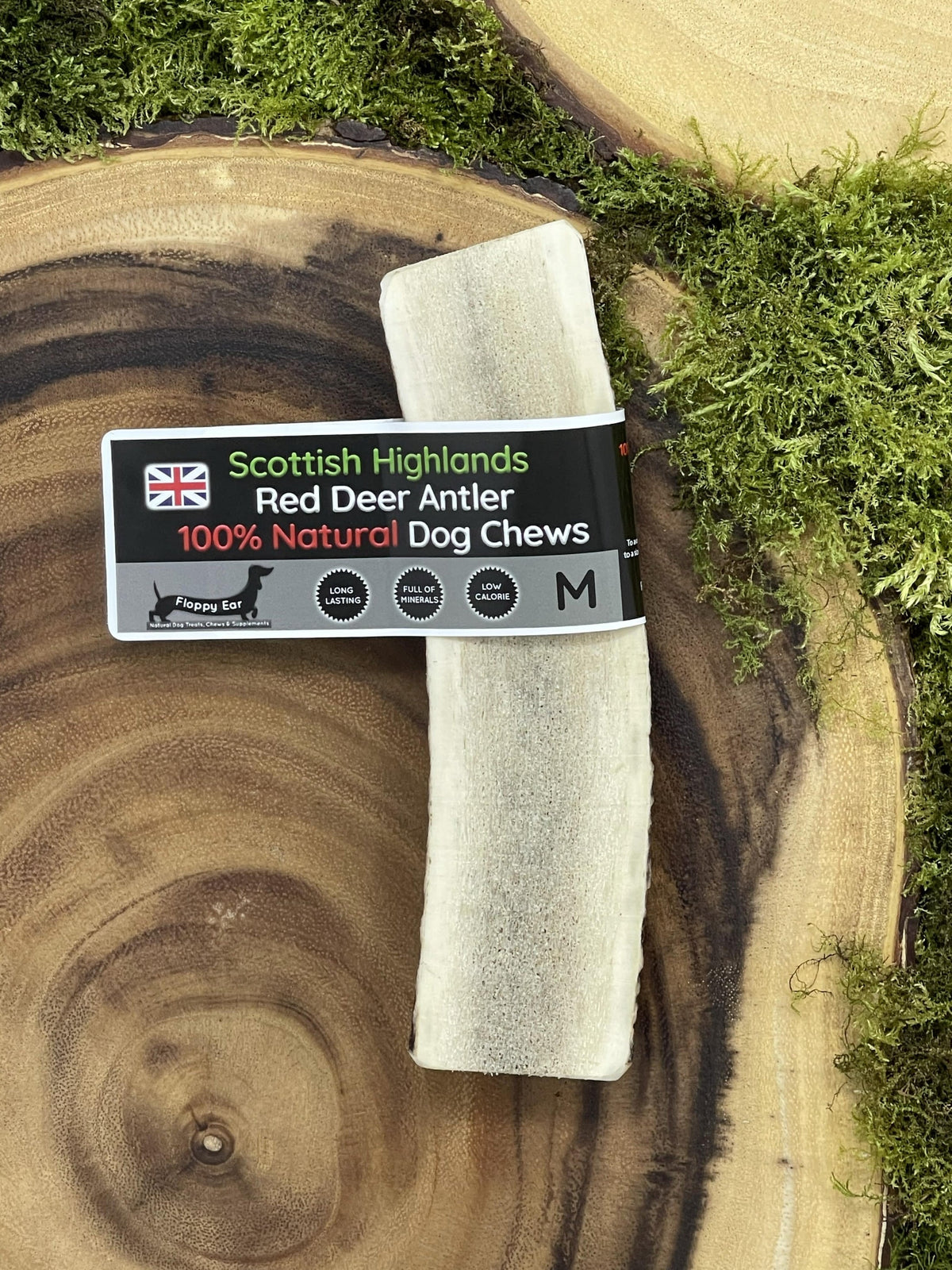 Floppy Ear Scottish Highlands 100% Natural Red Deer Antler Chew Medium size