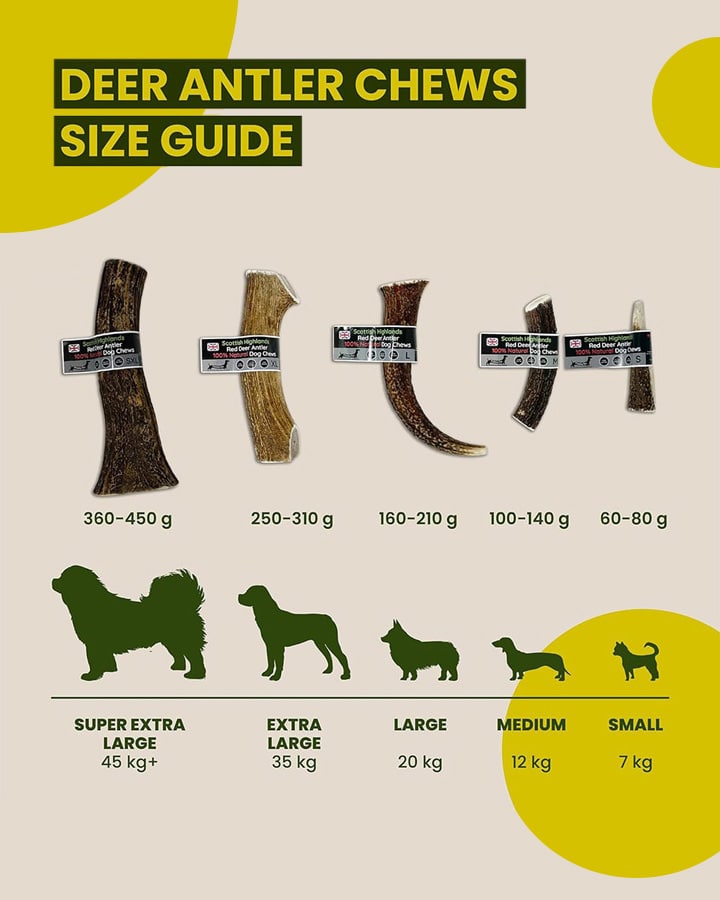 Floppy Ear Scottish Highlands Red Deer Antler Chews size guide Super Extra Large to Small with dog weight recommendations