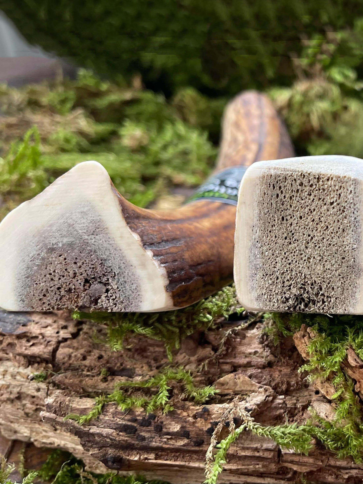 Floppy Ear Scottish Highlands 100% Natural Red Deer Antler Chew Extra Large XL close up showing split texture