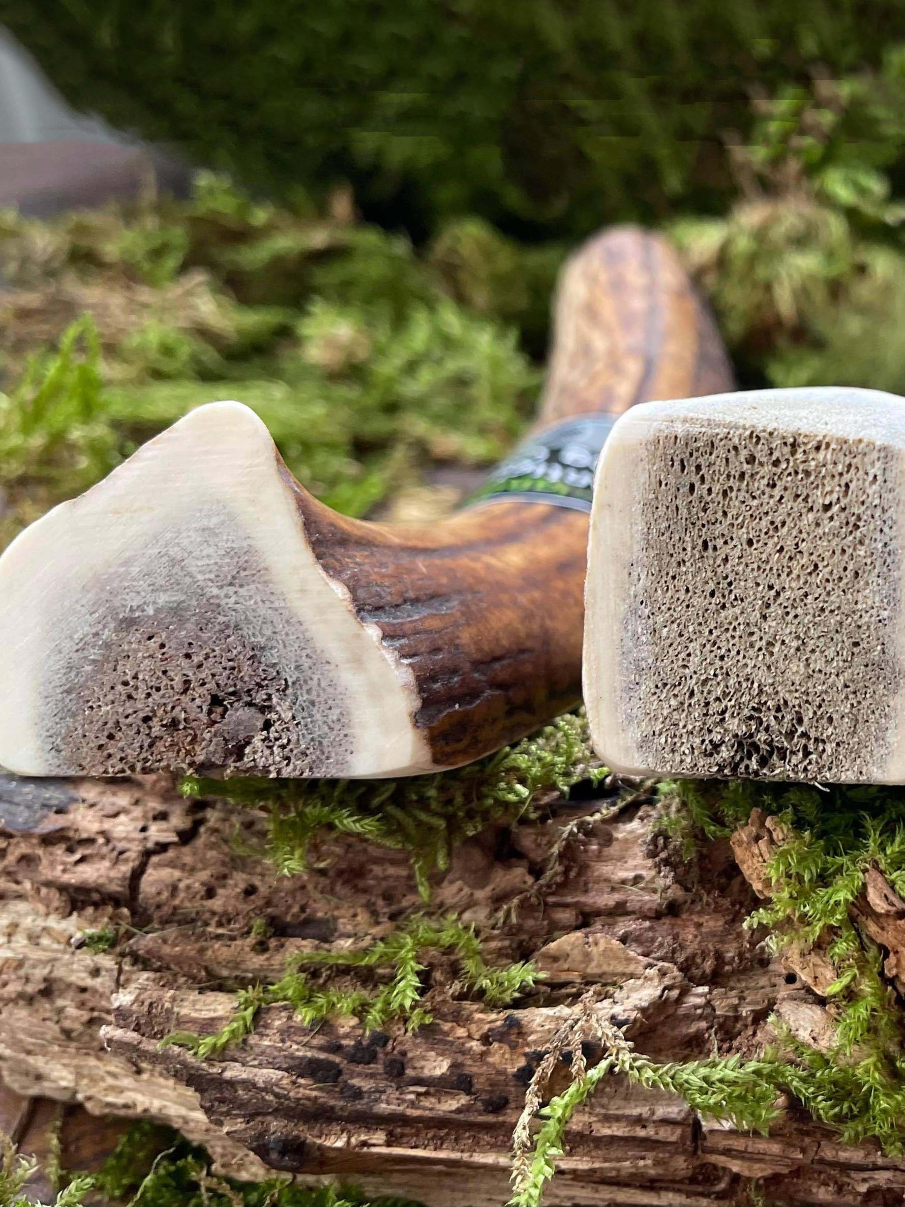 Floppy Ear Scottish Highlands 100% Natural Red Deer Antler Chew Extra Large XL close up showing split texture