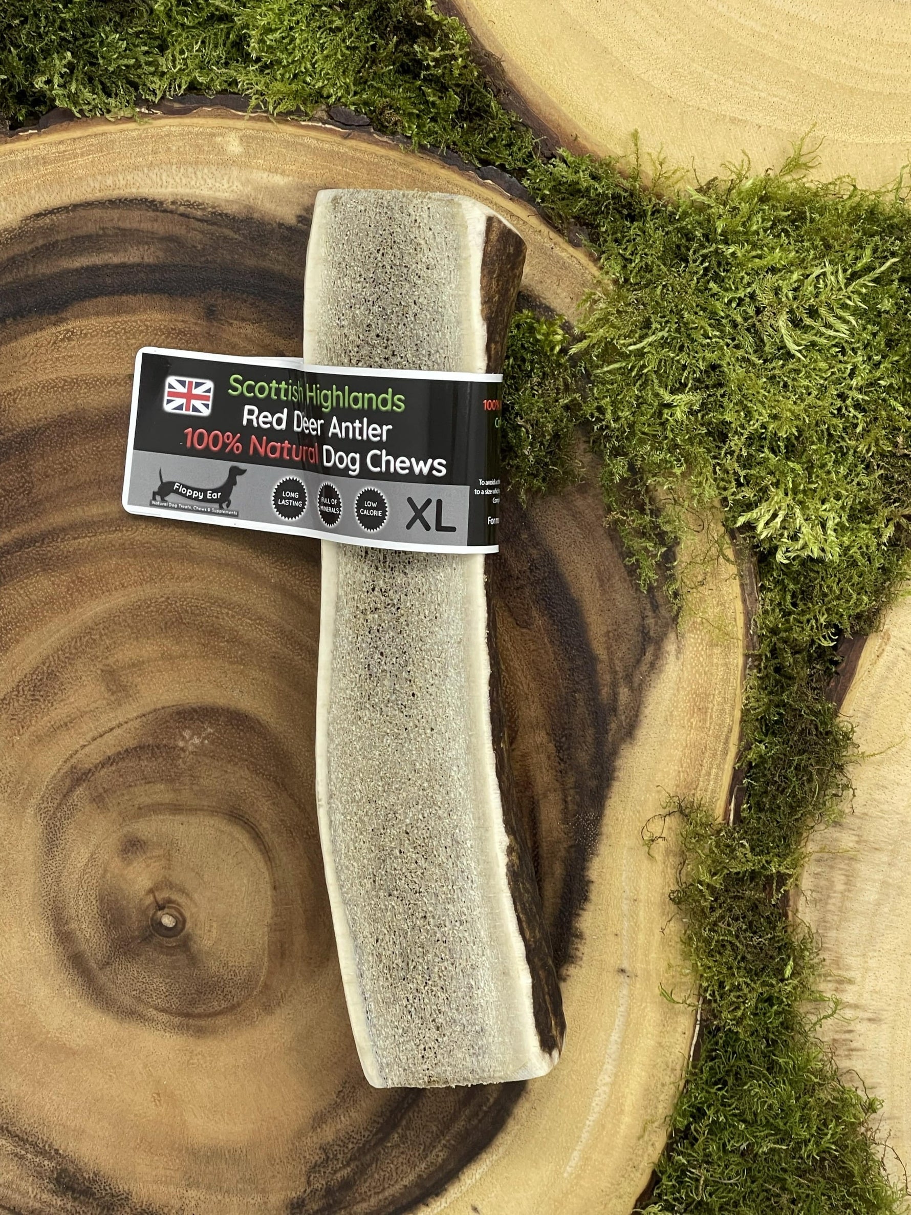 Floppy Ear Scottish Highlands 100% Natural Red Deer Antler Chew Extra Large XL size