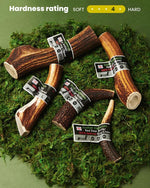 Floppy Ear Red Deer Antler Chews various sizes on moss with hardness rating 4