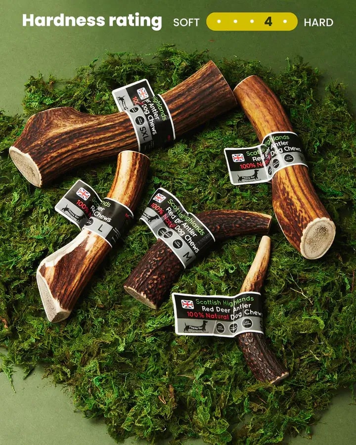 Floppy Ear Red Deer Antler Chews various sizes on moss with hardness rating 4