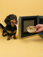 Dog standing next to a microwave with a bowl of yak bits ready to be puffed up into puff treats held by a hand on a yellow background