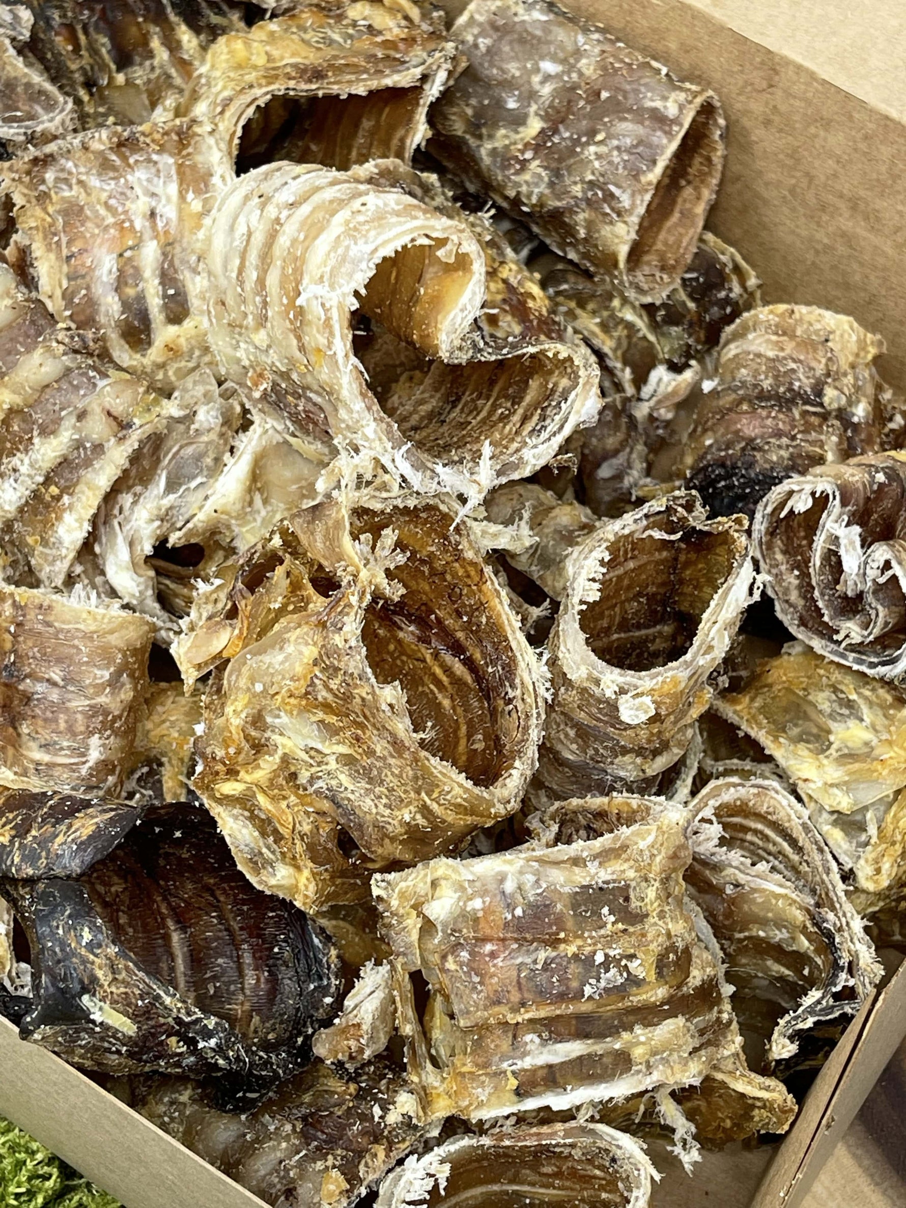Beef Trachea Dog Chews