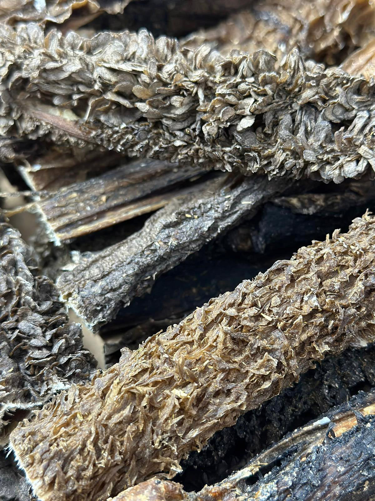 natural puppy treats