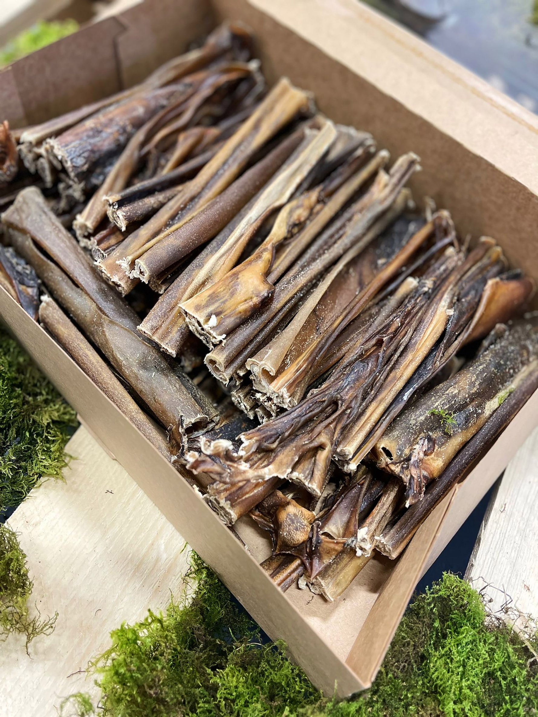 Venison Chews For Dogs Dried Venison Skin Chew Box