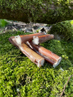 Floppy Ear 100% Natural Air Dried Bull Pizzle Dog Chews loose on moss