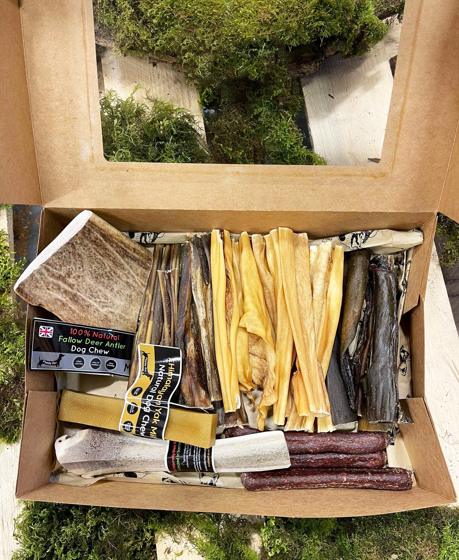 Medium whelping box for dogs