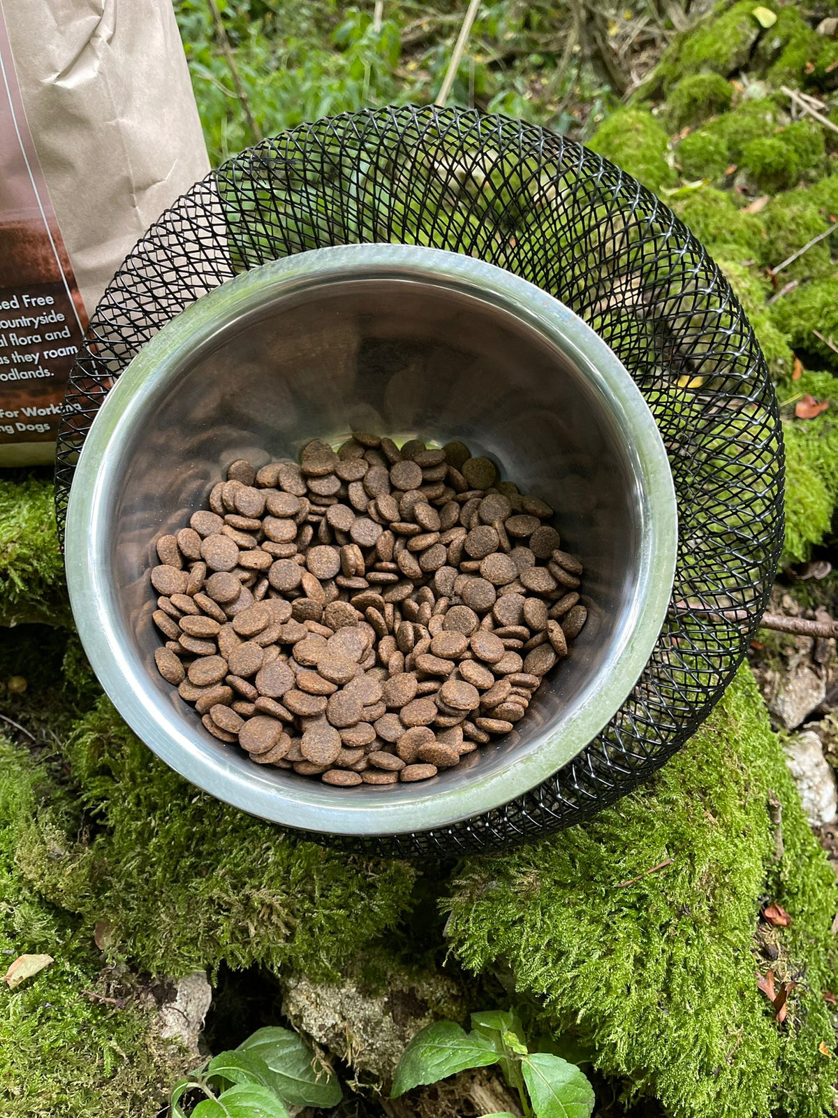 Floppy Ear Grain Free Premium Dog Food 50% Venison & Salmon kibble in stainless steel bowl